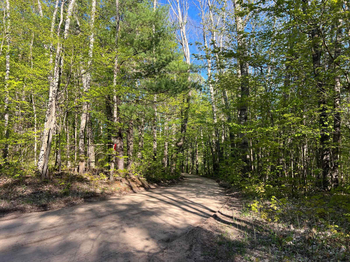 High Rollway Trail (4-3/4) photo 4