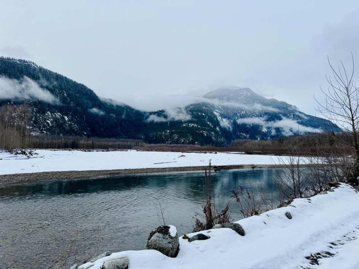 Squamish River FSR photo 5