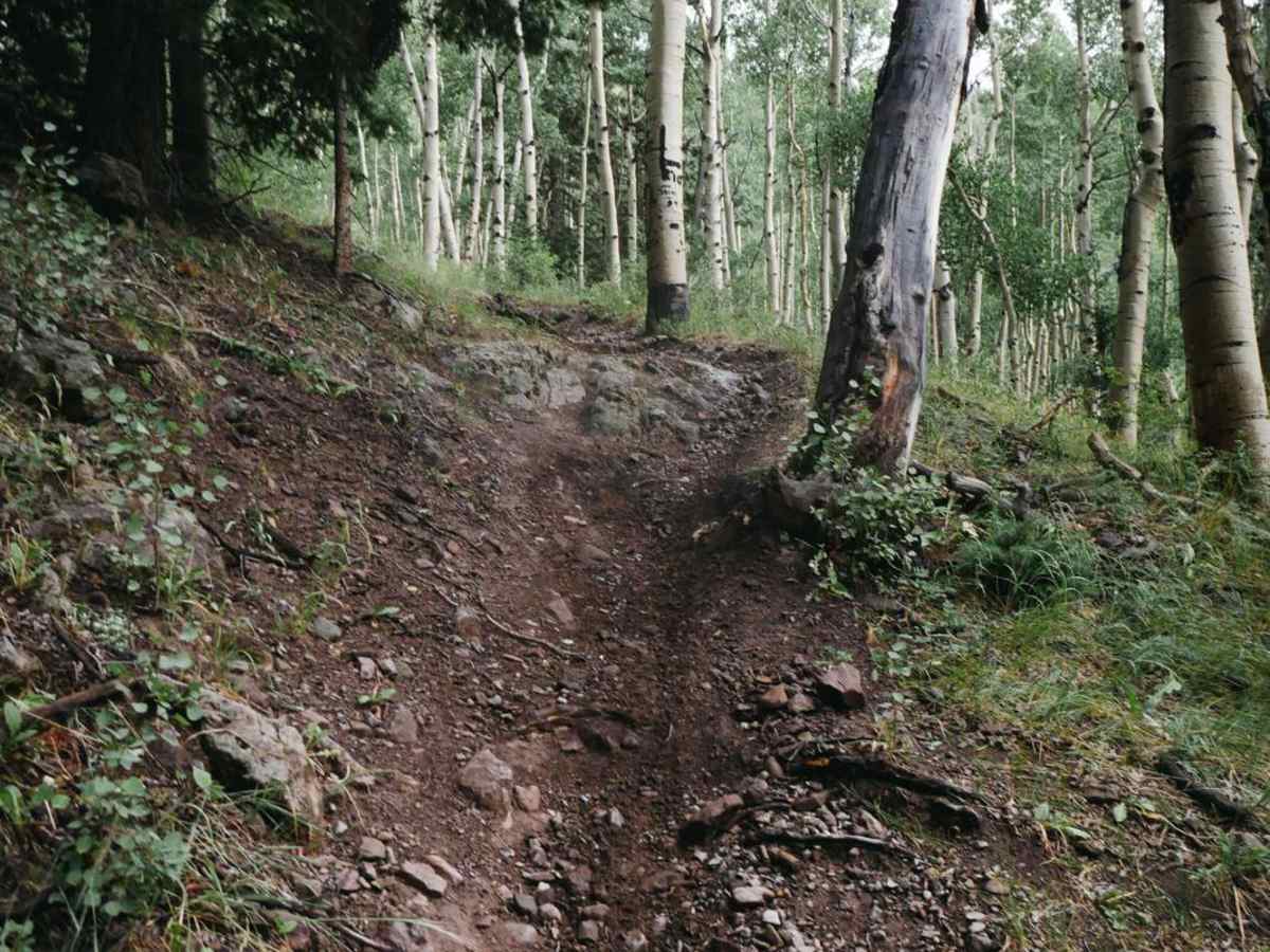 Valdez Trail photo 6