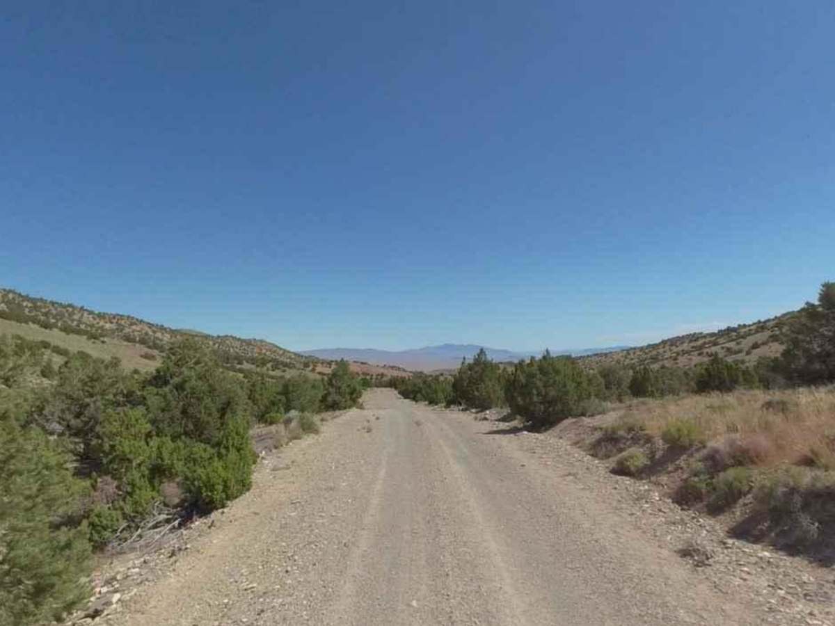 Conger Mountain OHV Route 6 photo 5