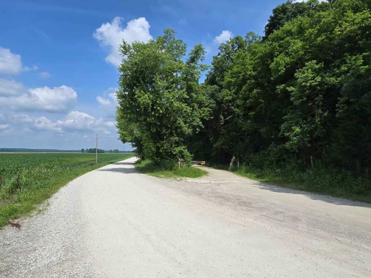 River Road photo 6