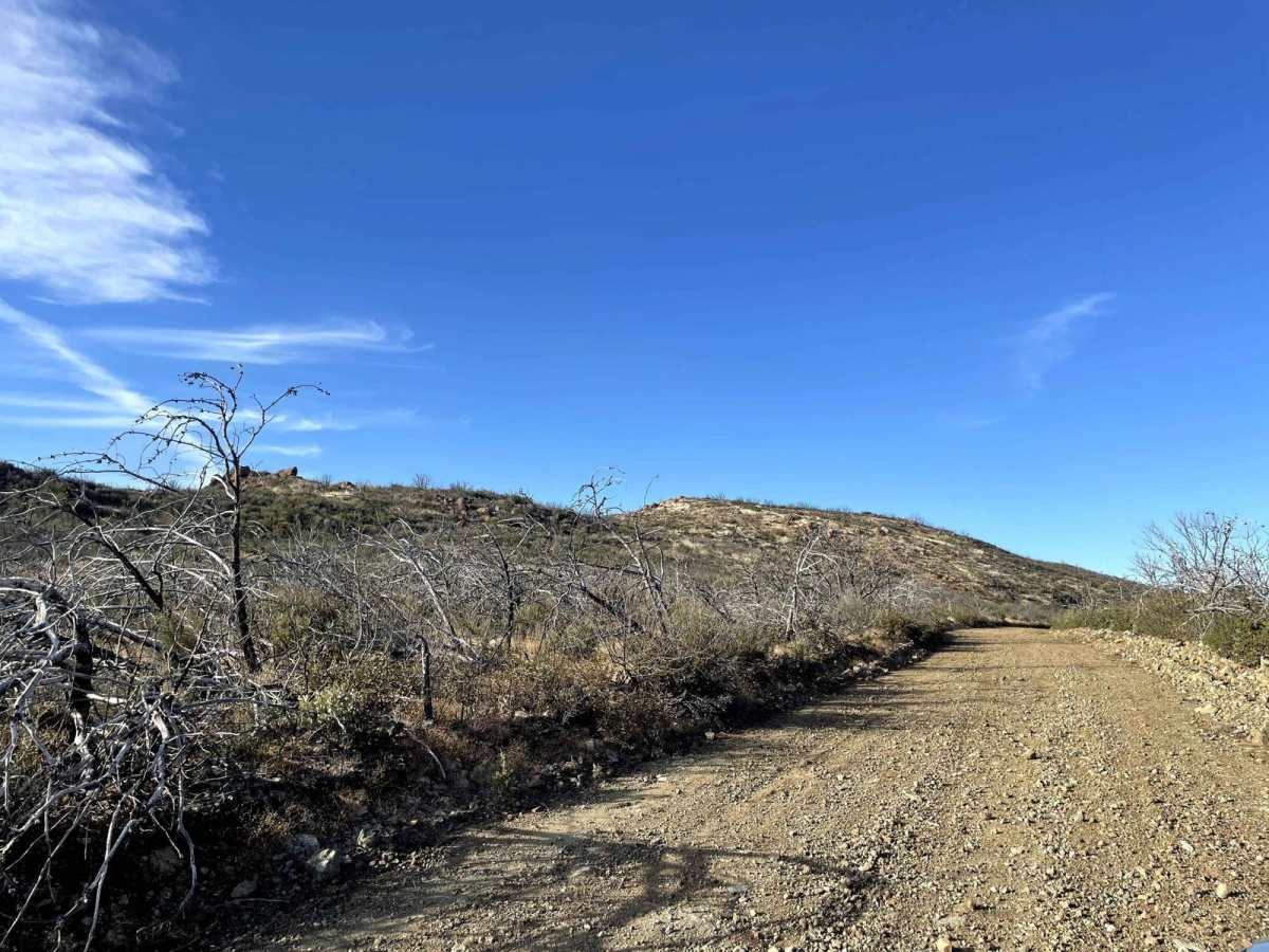 Dunnigan Hill photo 4