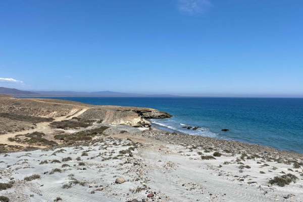 Santa Rosaliita Coastal