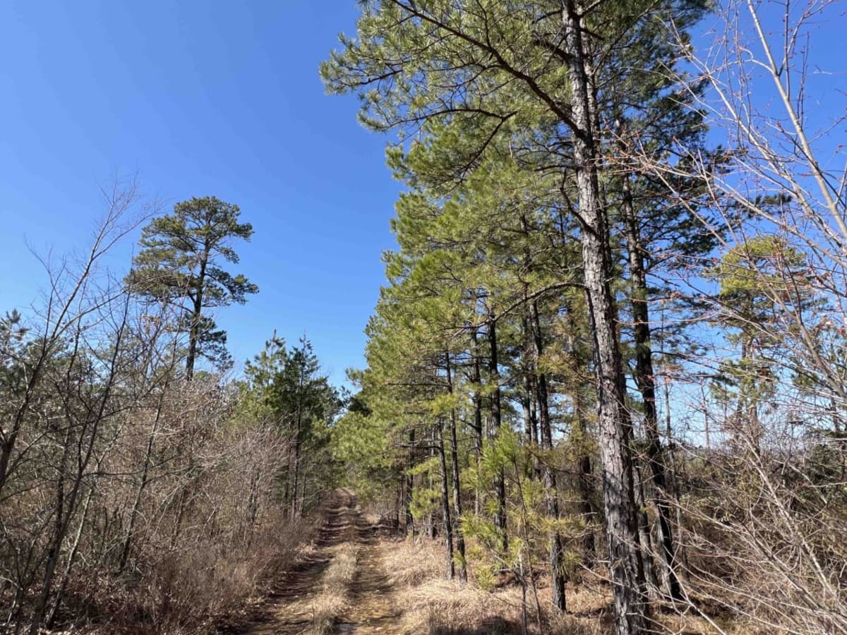 North Fork Road 86 photo 3