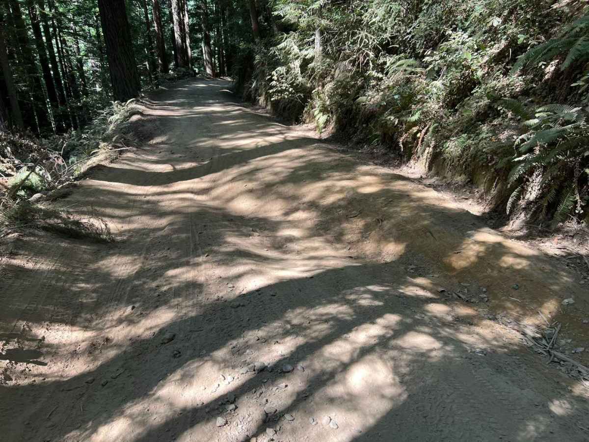 Usal Road (Southern Portion) photo 6
