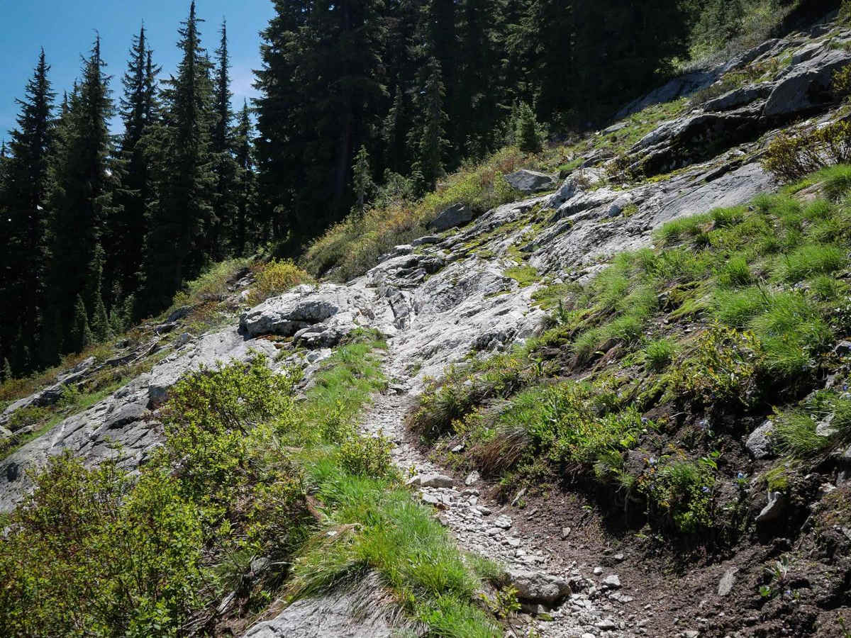Junction Mountain trail photo