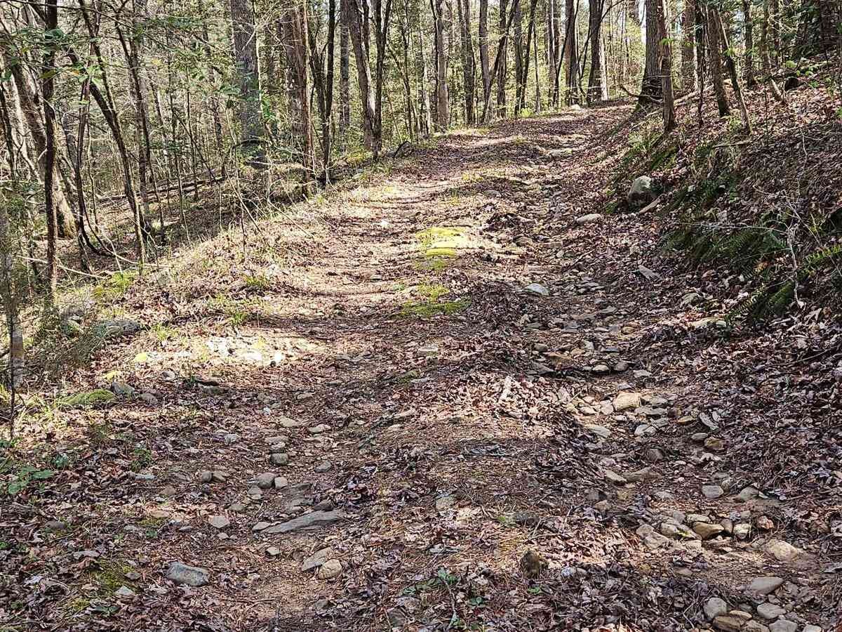 Kaia Trail photo 4