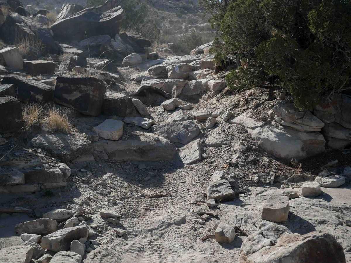 Rocky Bluff photo 2