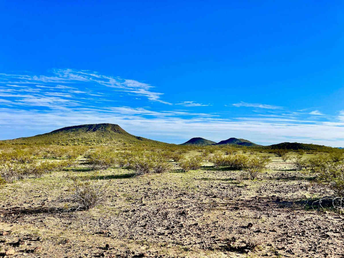 Grass Mine Trail photo 4