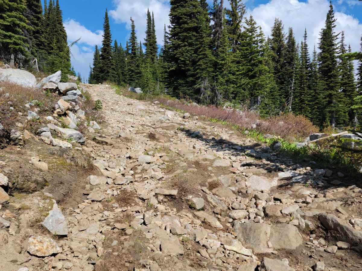 Sugar Fire Lookout photo 5