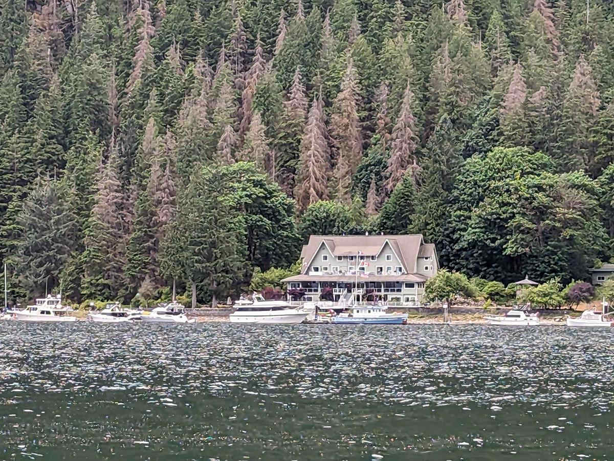 Squamish Indian Arm FSR trail photo