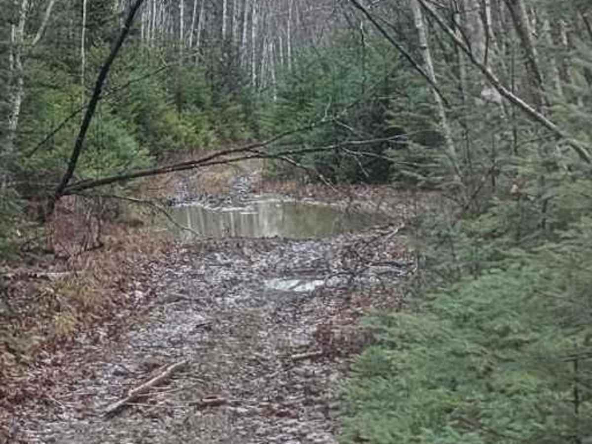 Yesterdays Rough Ride photo 2