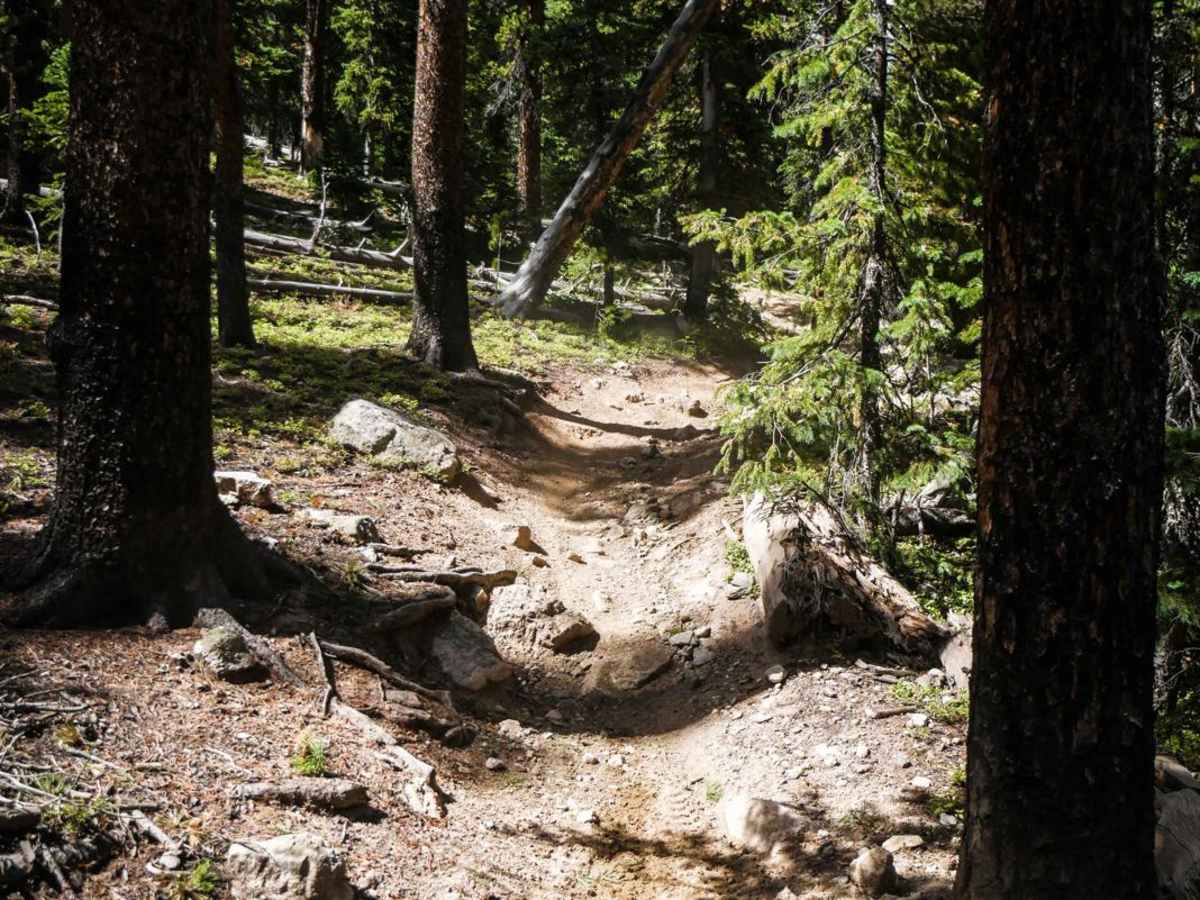Doctor Park Trail photo 3