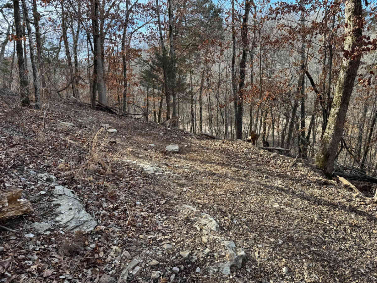 Green 366 trail photo
