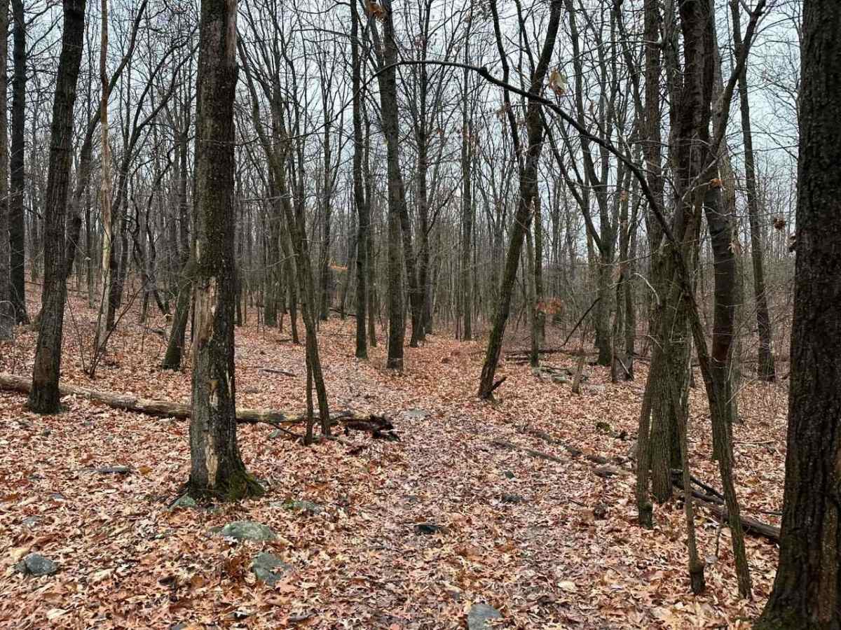 ATV Trail 34 photo 2