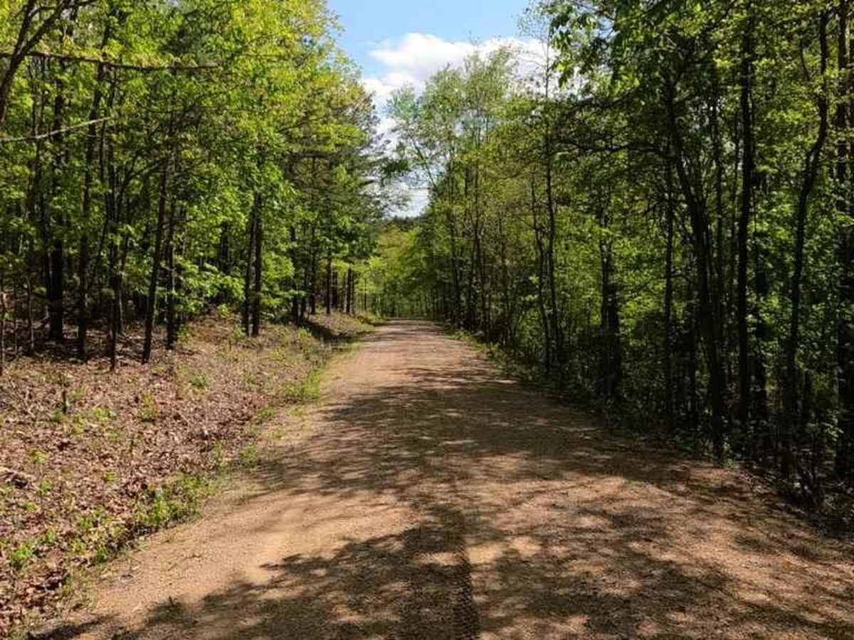 Nine Mile (Marsh Creek FSR 2120) photo 5