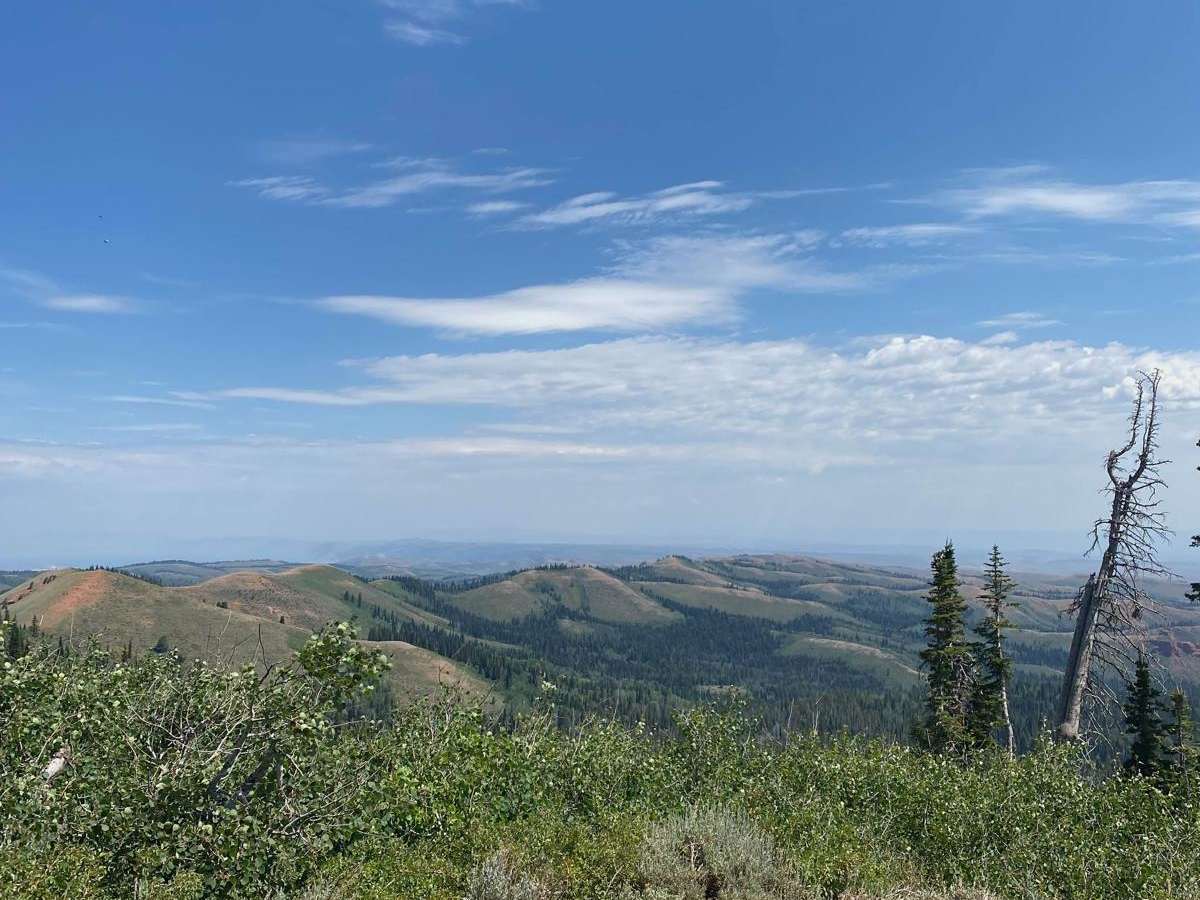 Old Canyon Trail photo 2