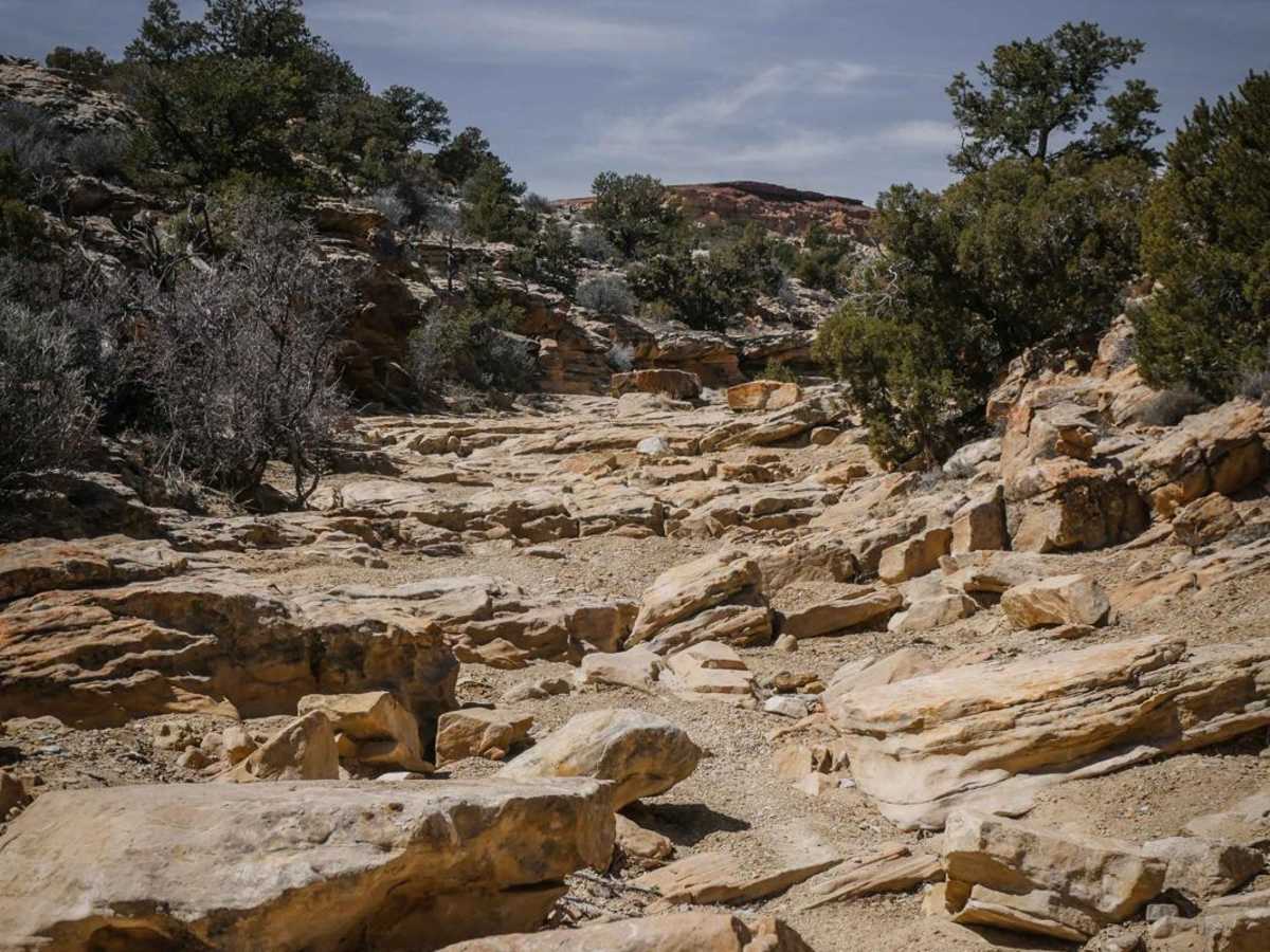 Orange Trail photo 3