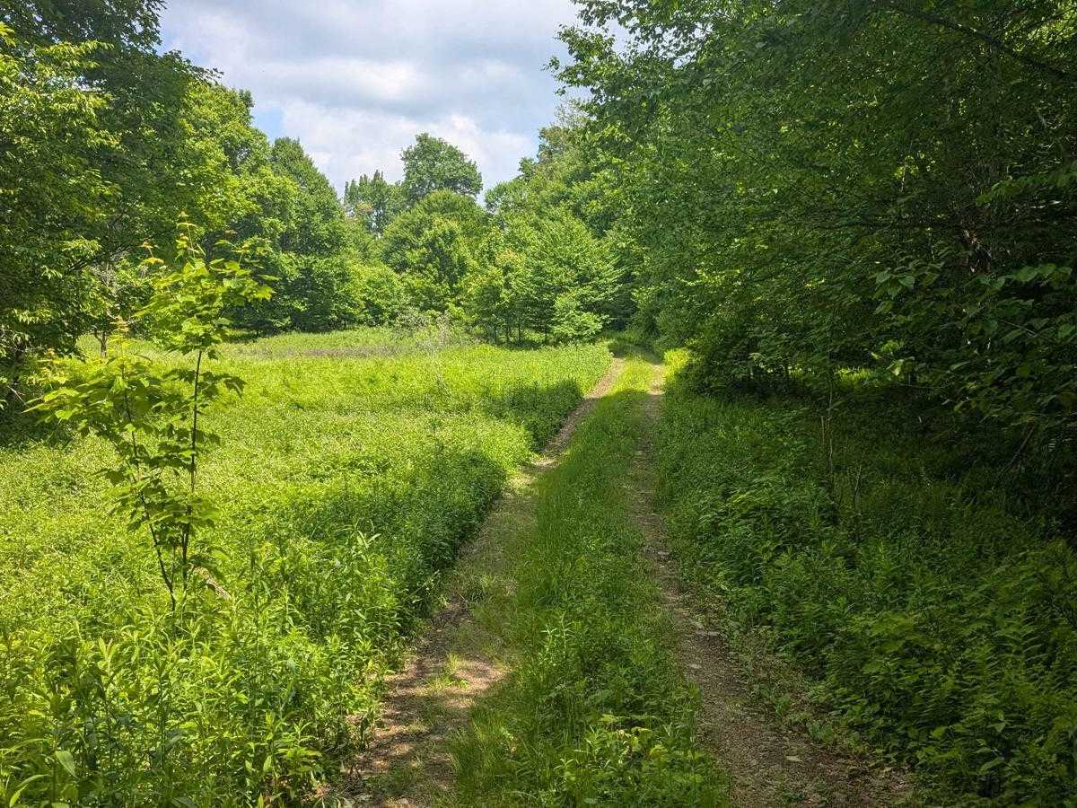 Sellecks Road Loop photo 3
