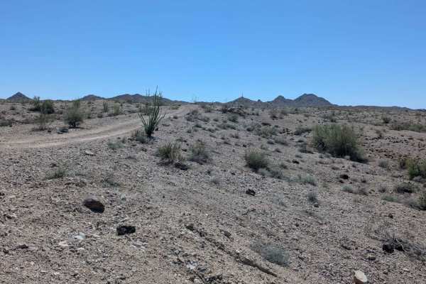 RV Oasis Bypass West