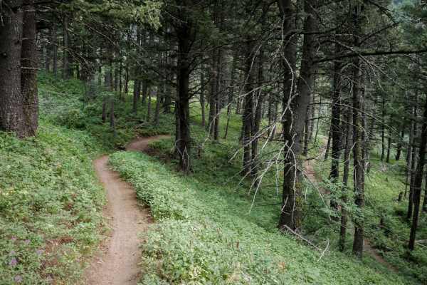 Truman Gulch