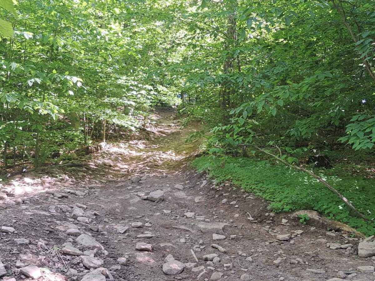 Beaver Slide trail photo