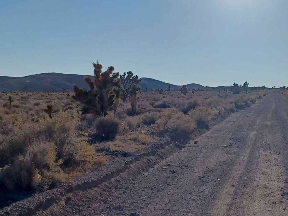 Cyanide Road trail photo