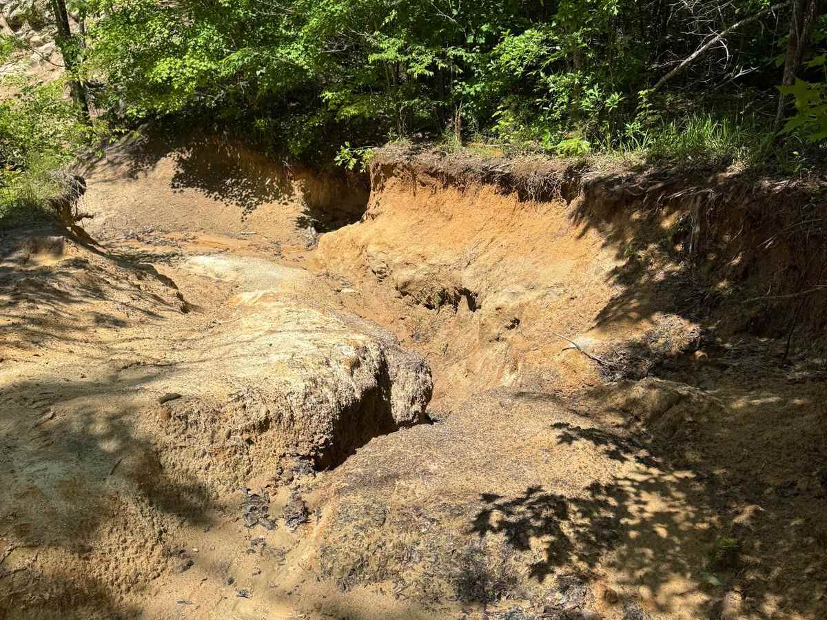 Radical Ravine photo 2