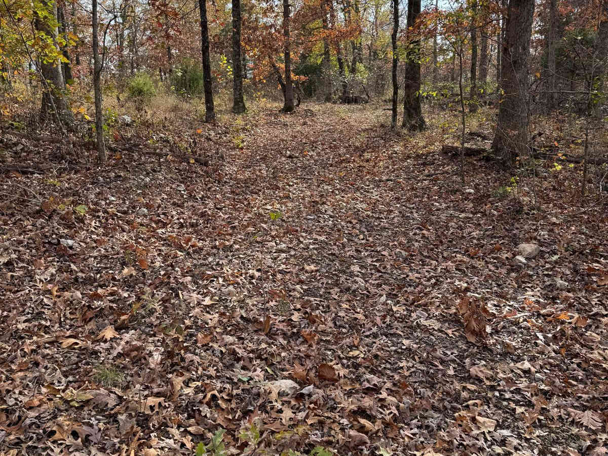 Green 206 photo 3