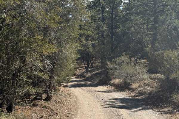 Champion Road