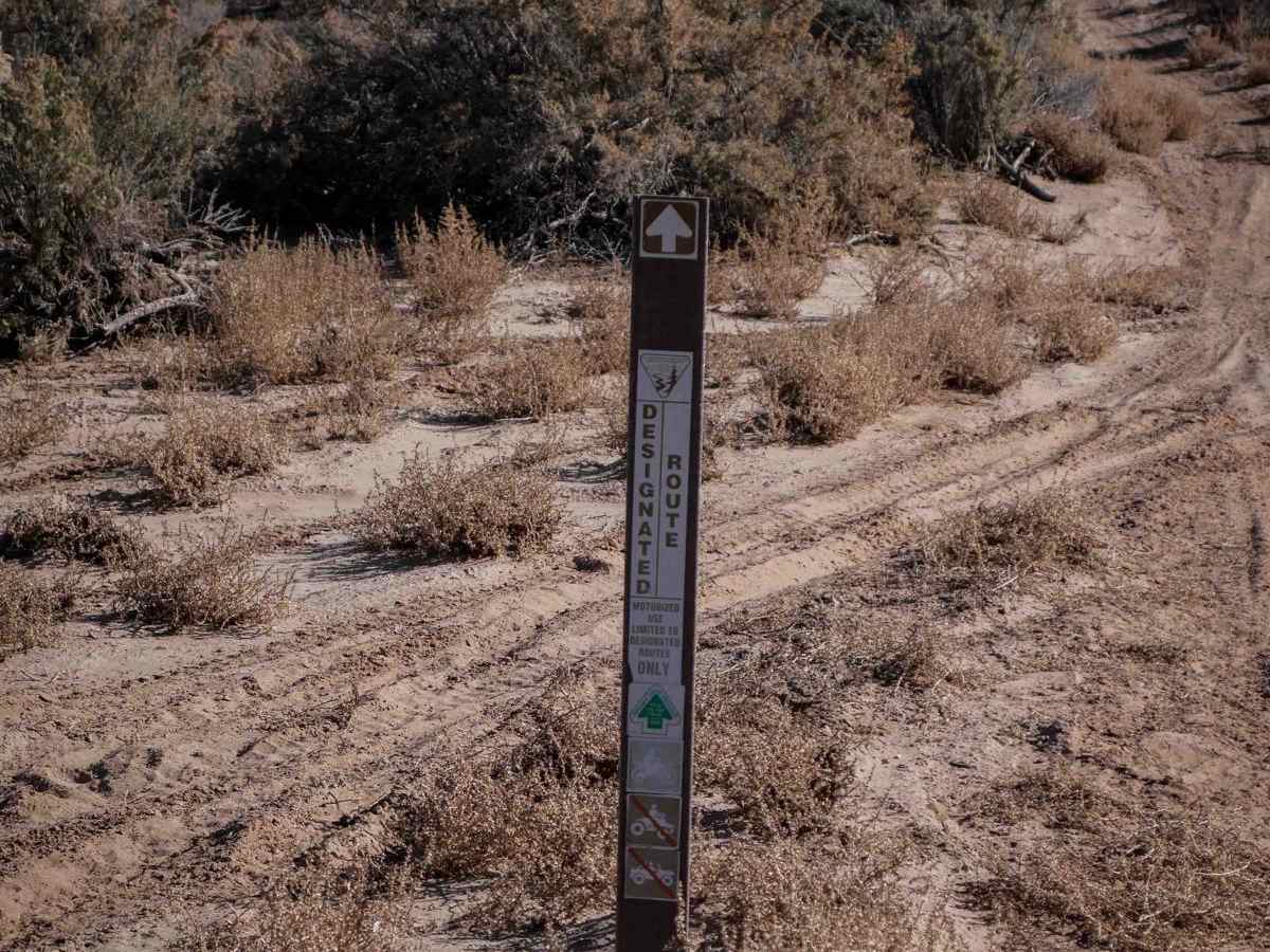 Ridge Trail photo 4