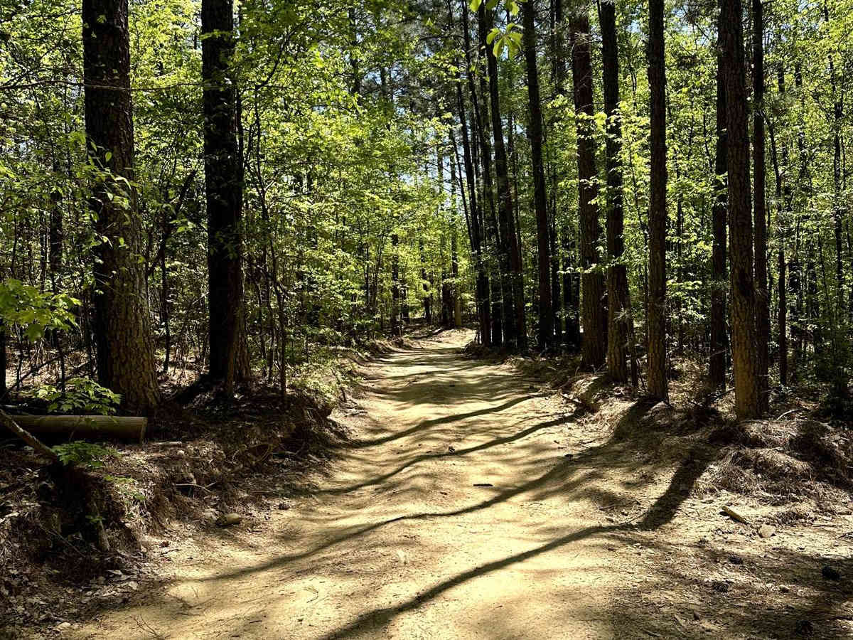 Trail 5 photo 6