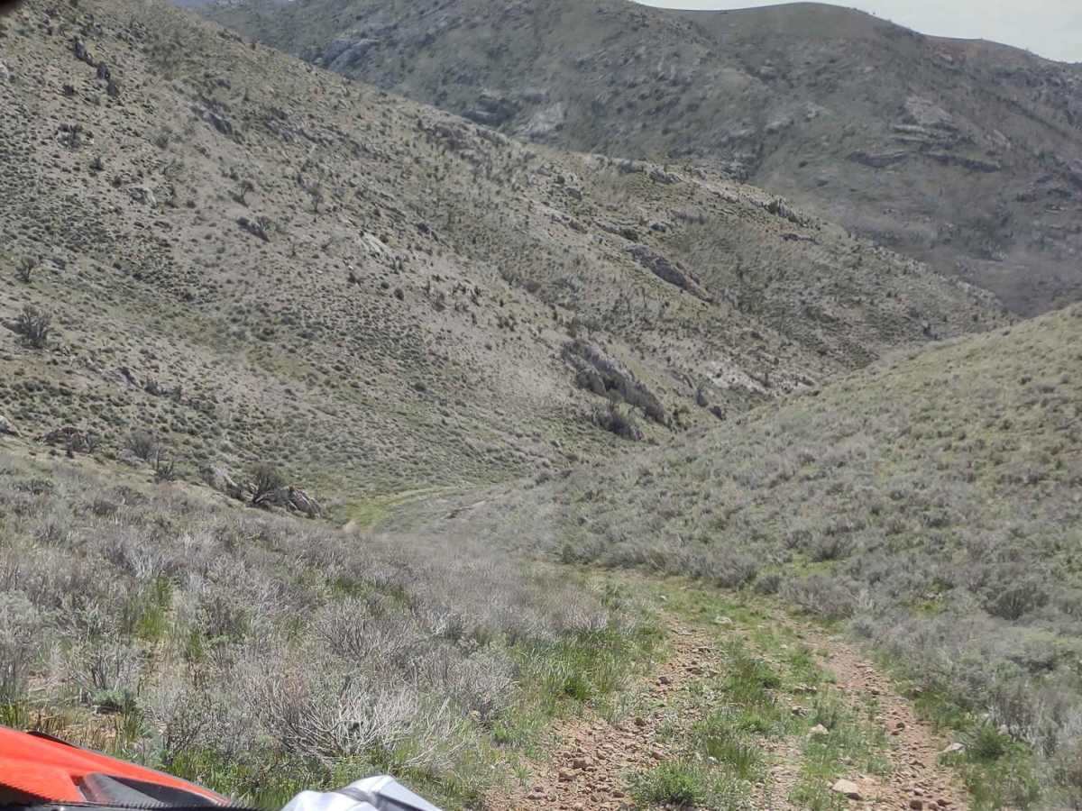 Hammond Canyon to Appendicitis Hill photo 5