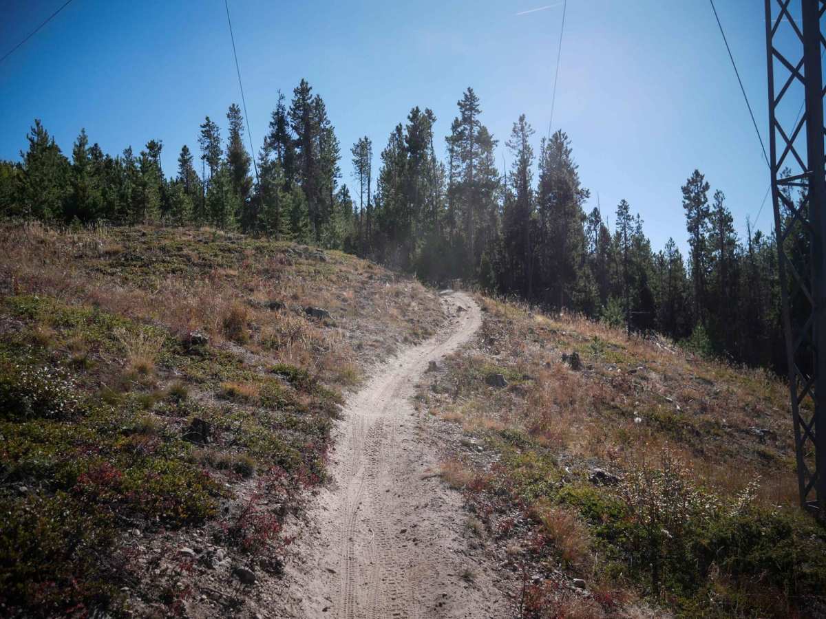 Tenderfoot Mountain photo 6