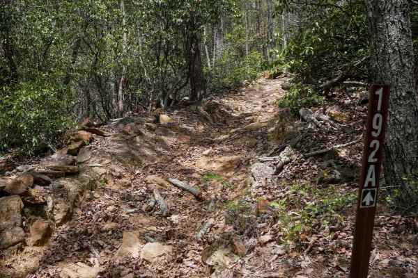 Rattlesnake Trail A