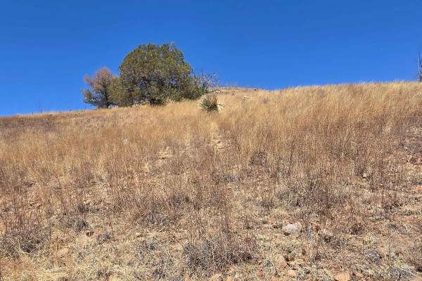 Hog Canyon Side Trail