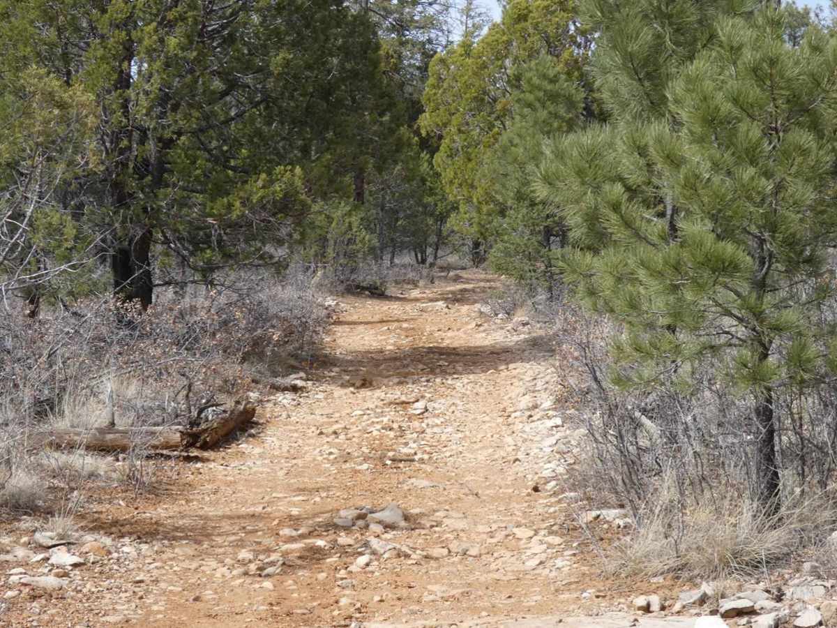Elk Ridge North photo 6