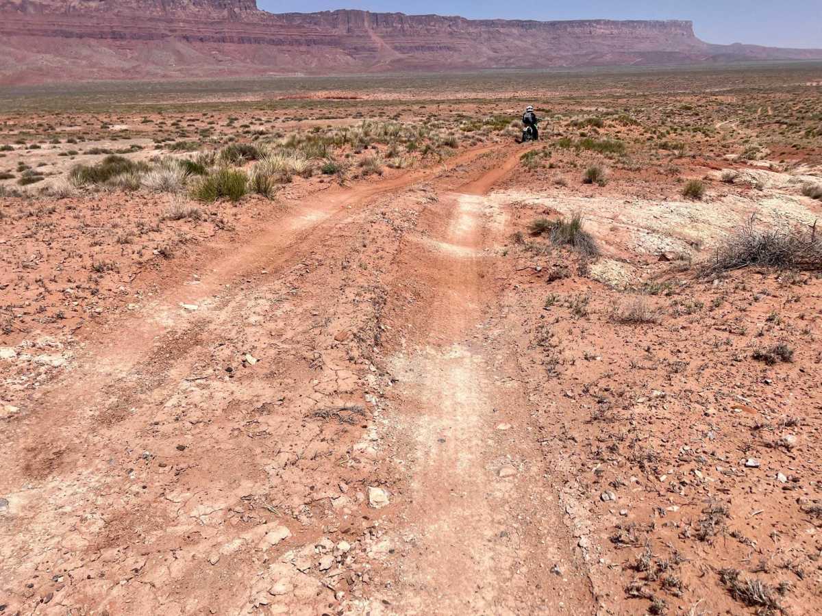 Two Track into the Wilderness photo 4