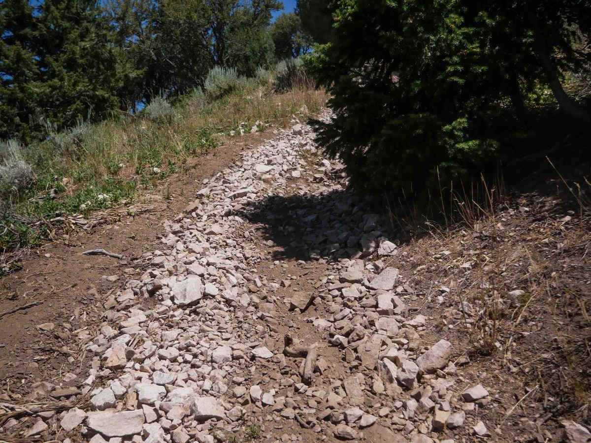 Steep Springs #3450  photo 2