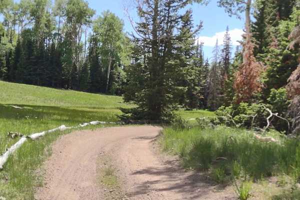 Fitzgerald's Park - FS 40182