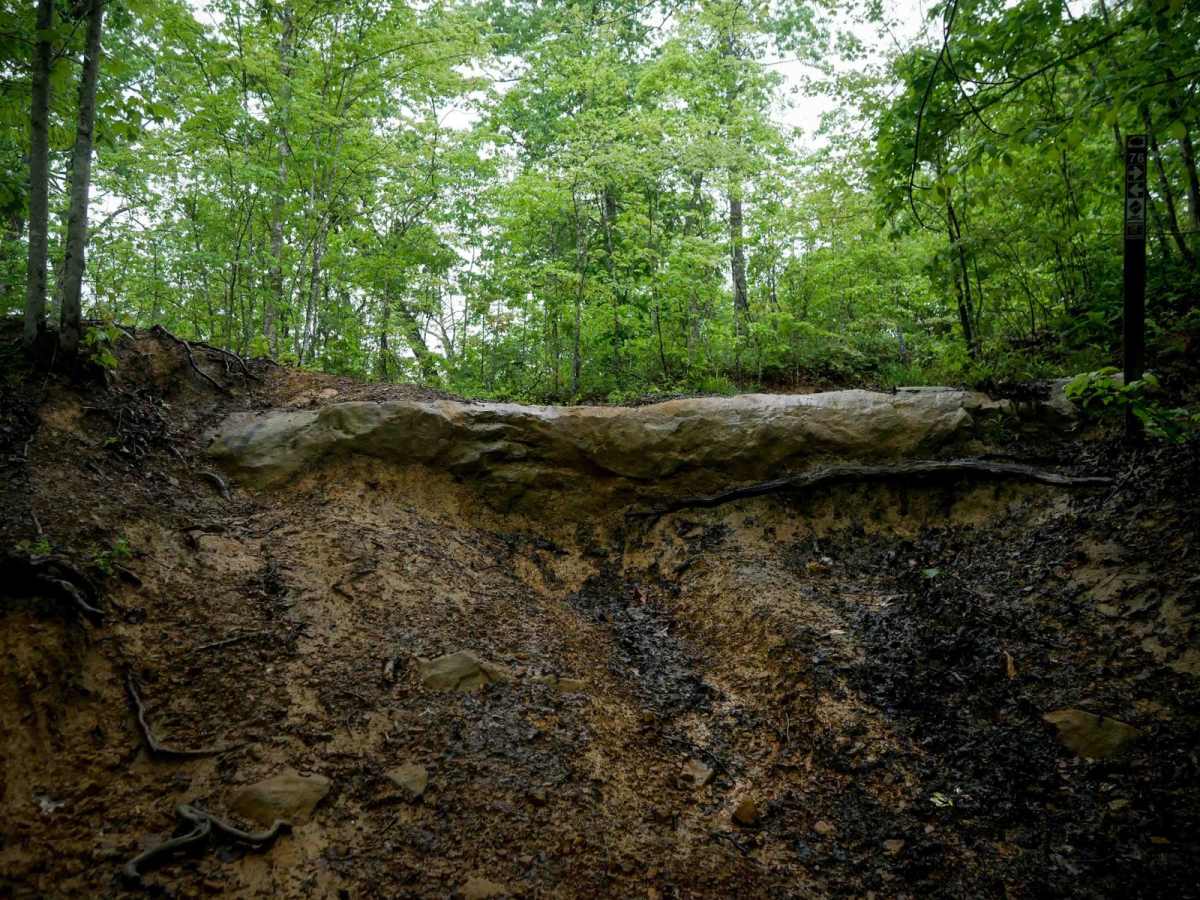 IB 86 trail photo