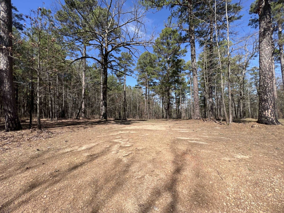Cove Creek Lake/Link Mountain Road 210 photo 5