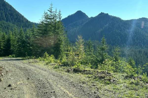 Church Creek Area Trail