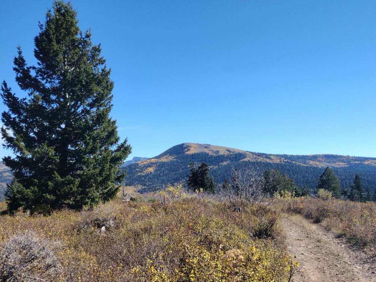 FS 80200 Cedar Hollow North 1 photo 2