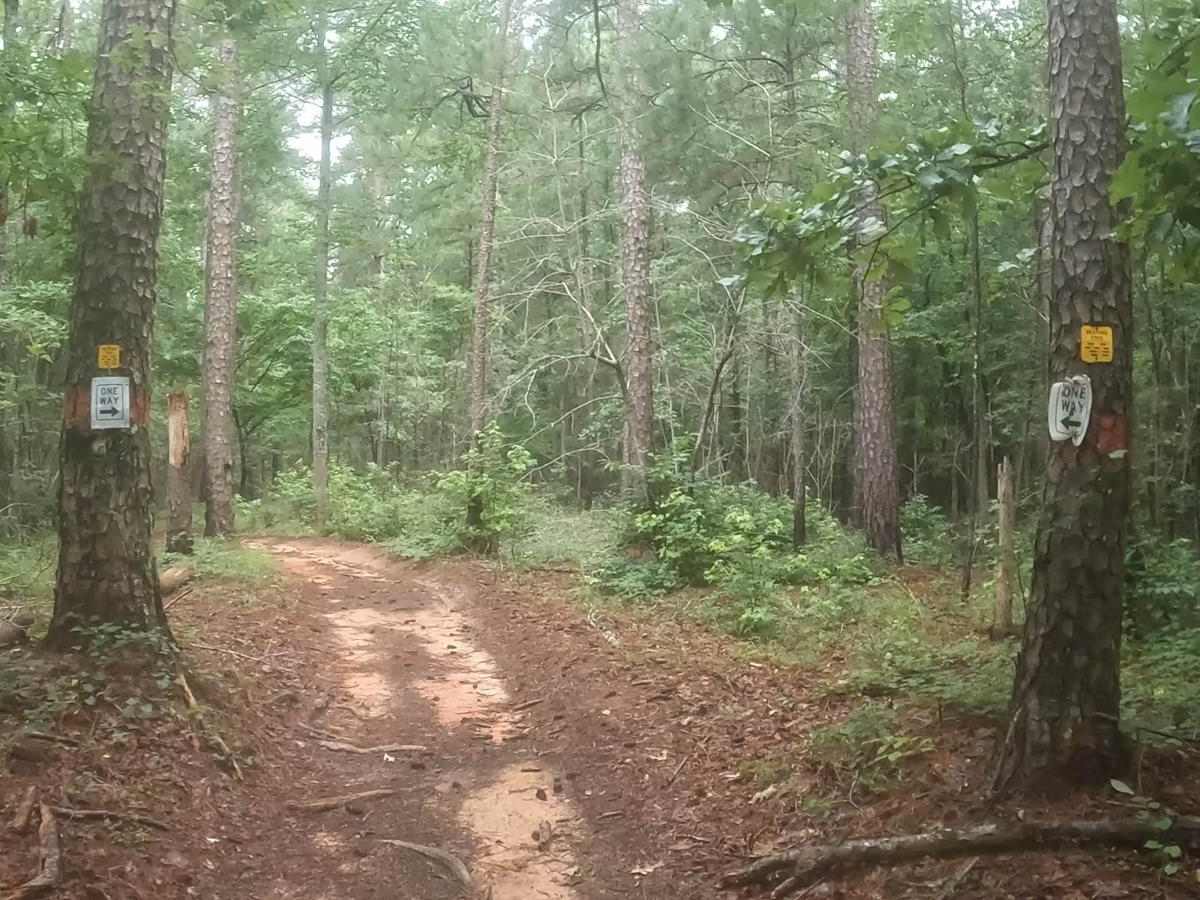 B Loop photo 2
