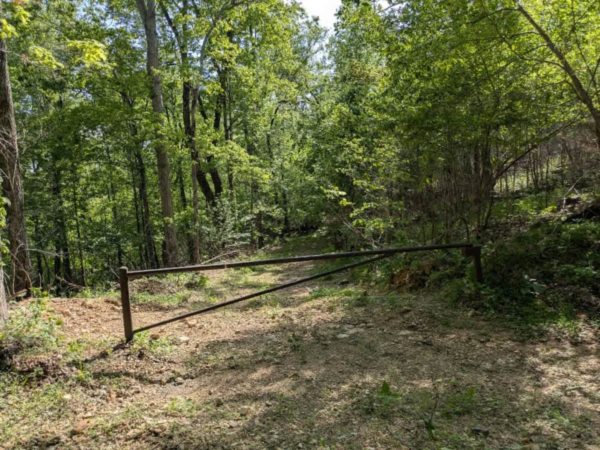 Barkshed Road photo 4