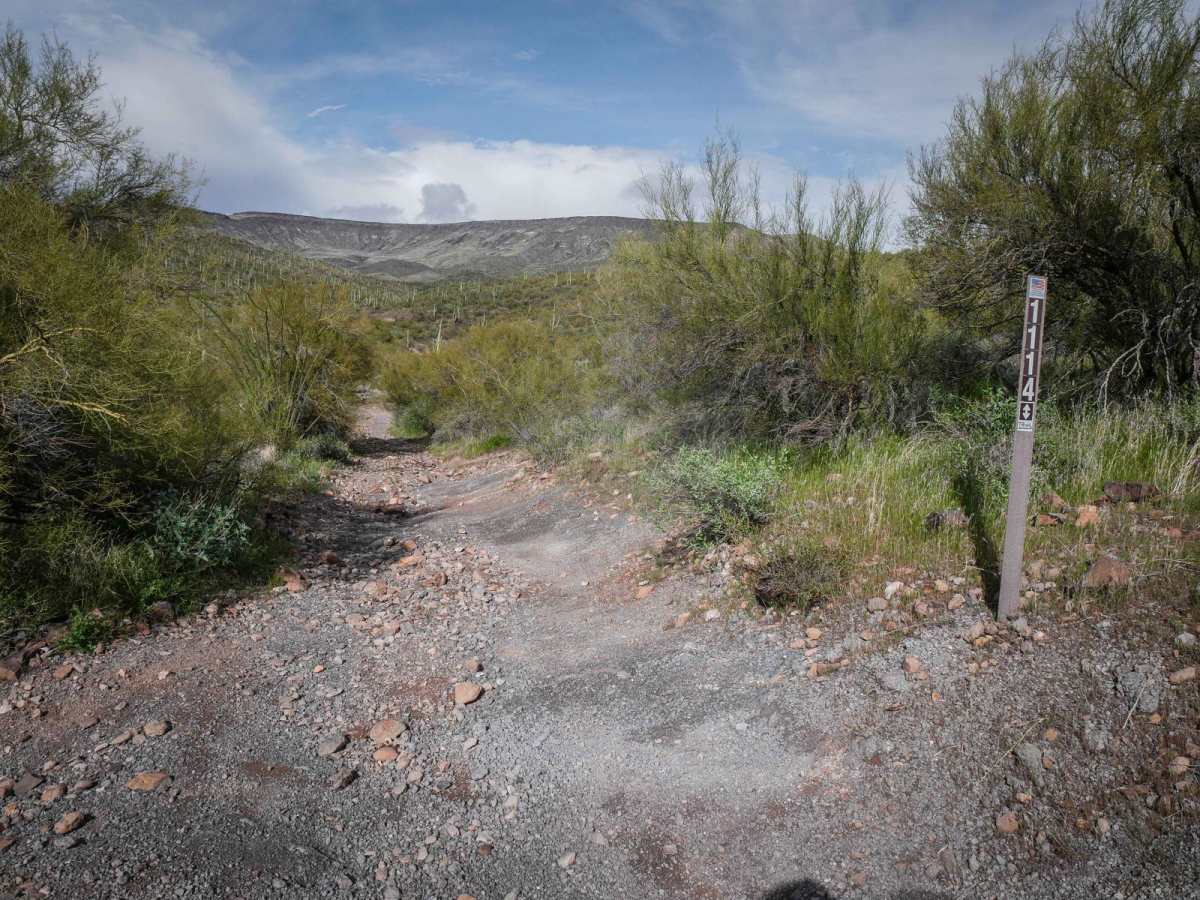 Shoemaker Spring trail photo