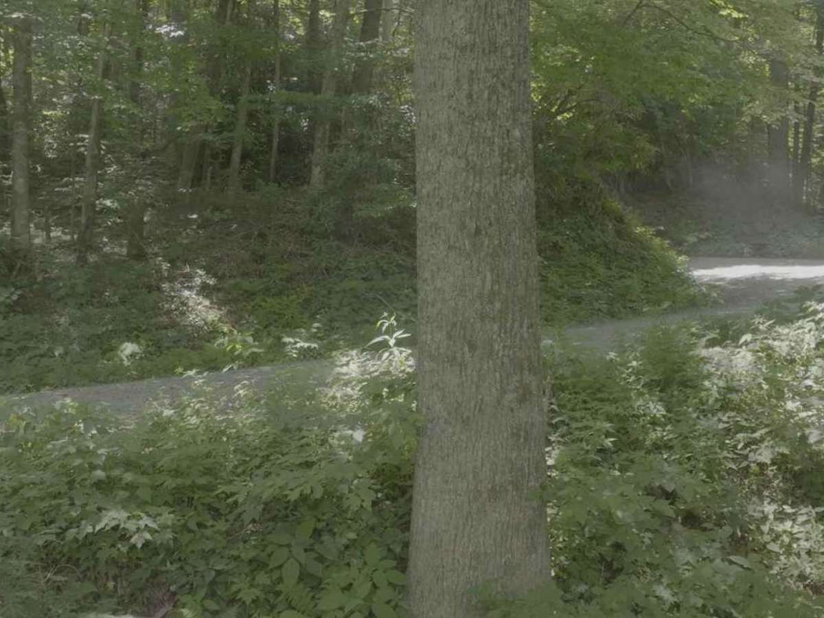 South Toe River photo 4