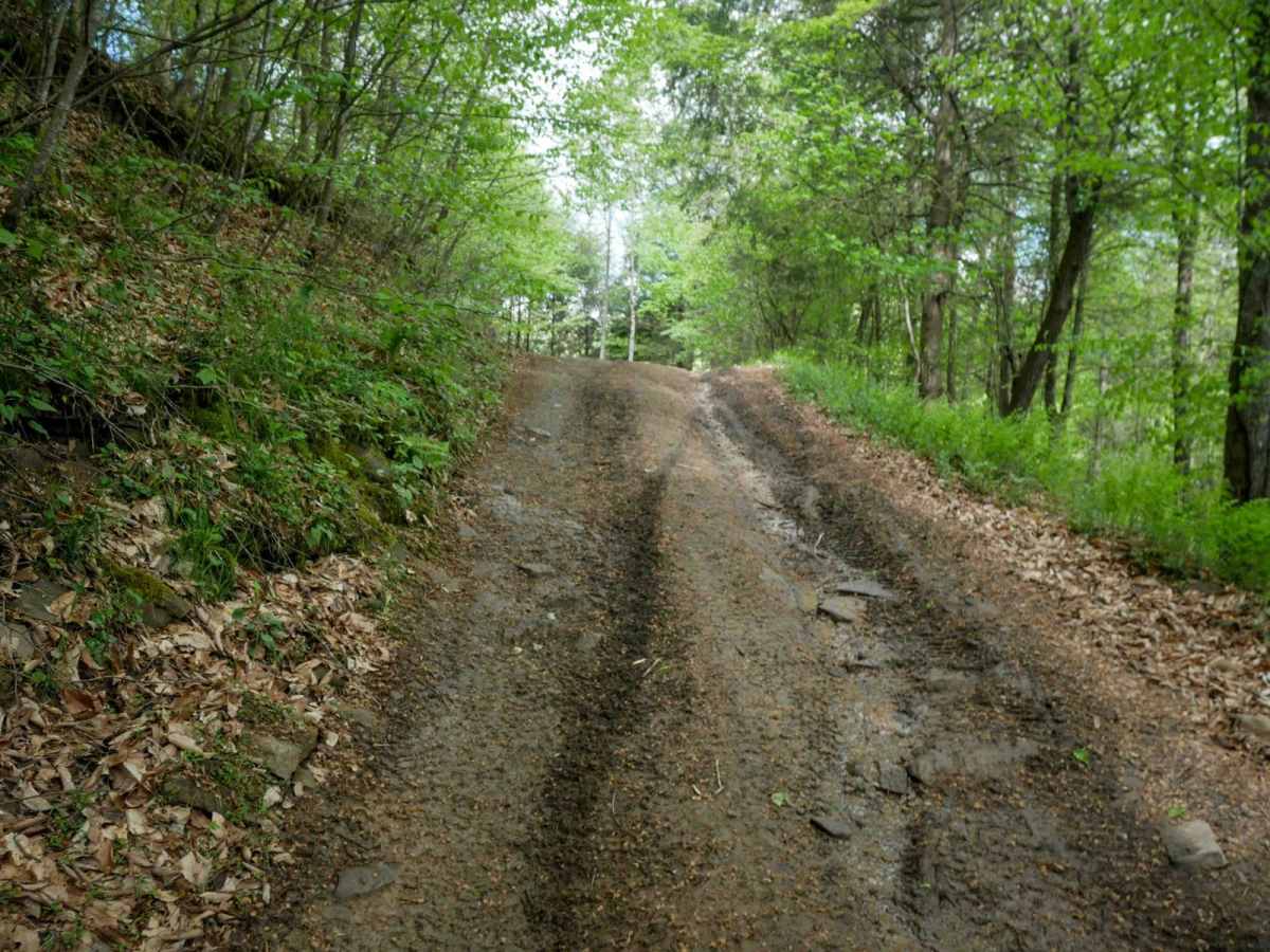 PC 33 trail photo