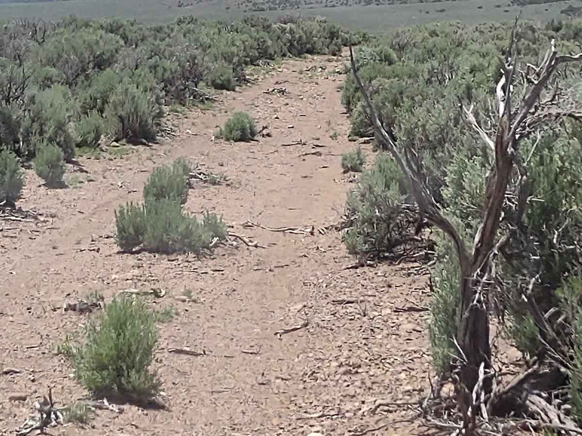 West Angle Road to Sam's Cabin photo 2